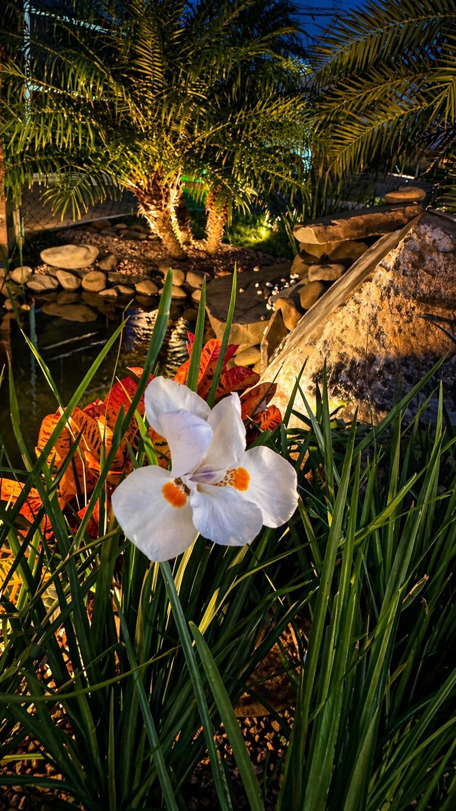 Detalhes florais e paisagismo